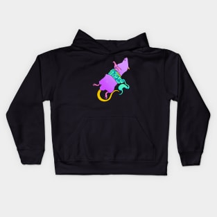 IBS Kids Hoodie